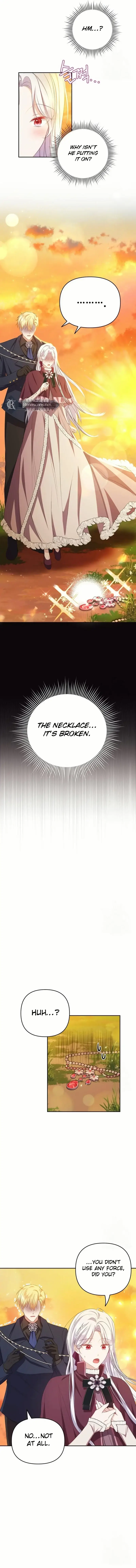 Image page 7