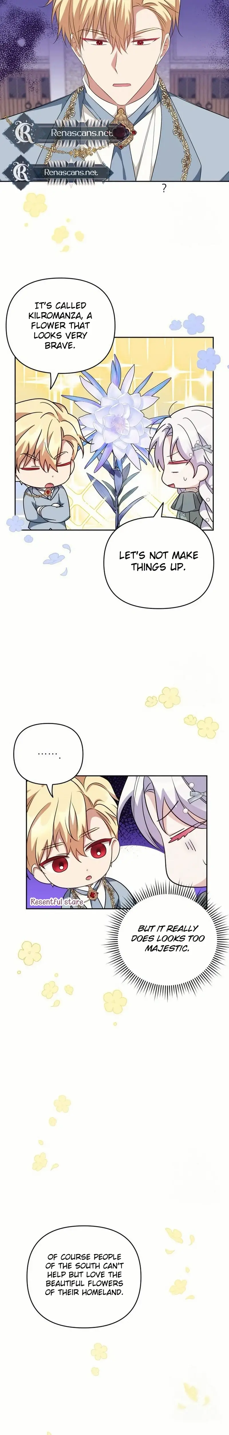 Image page 12