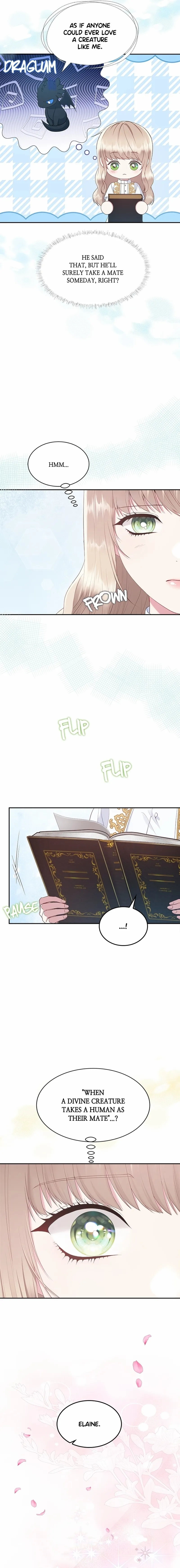 Image page 15