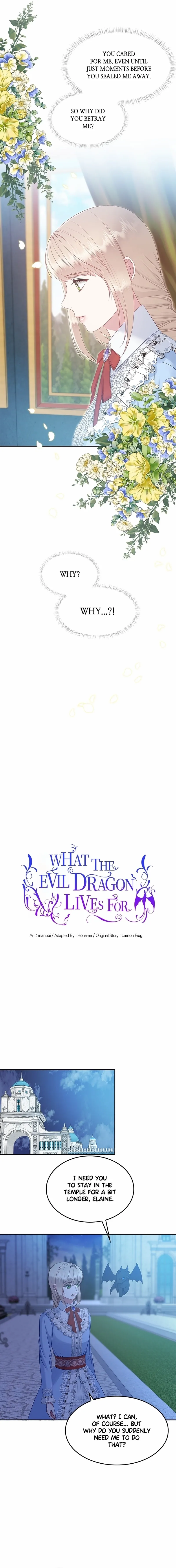 Image page 4