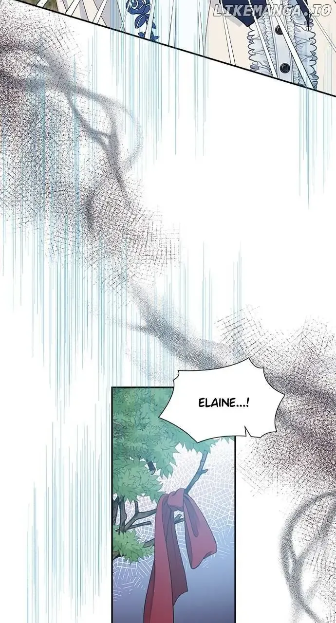 Image page 8