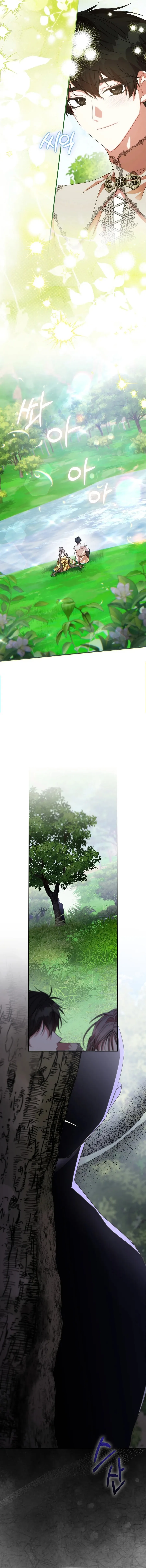 Image page 15