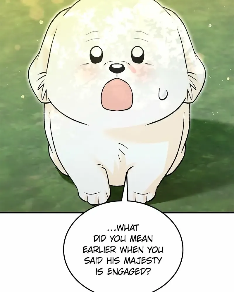 Image page 113