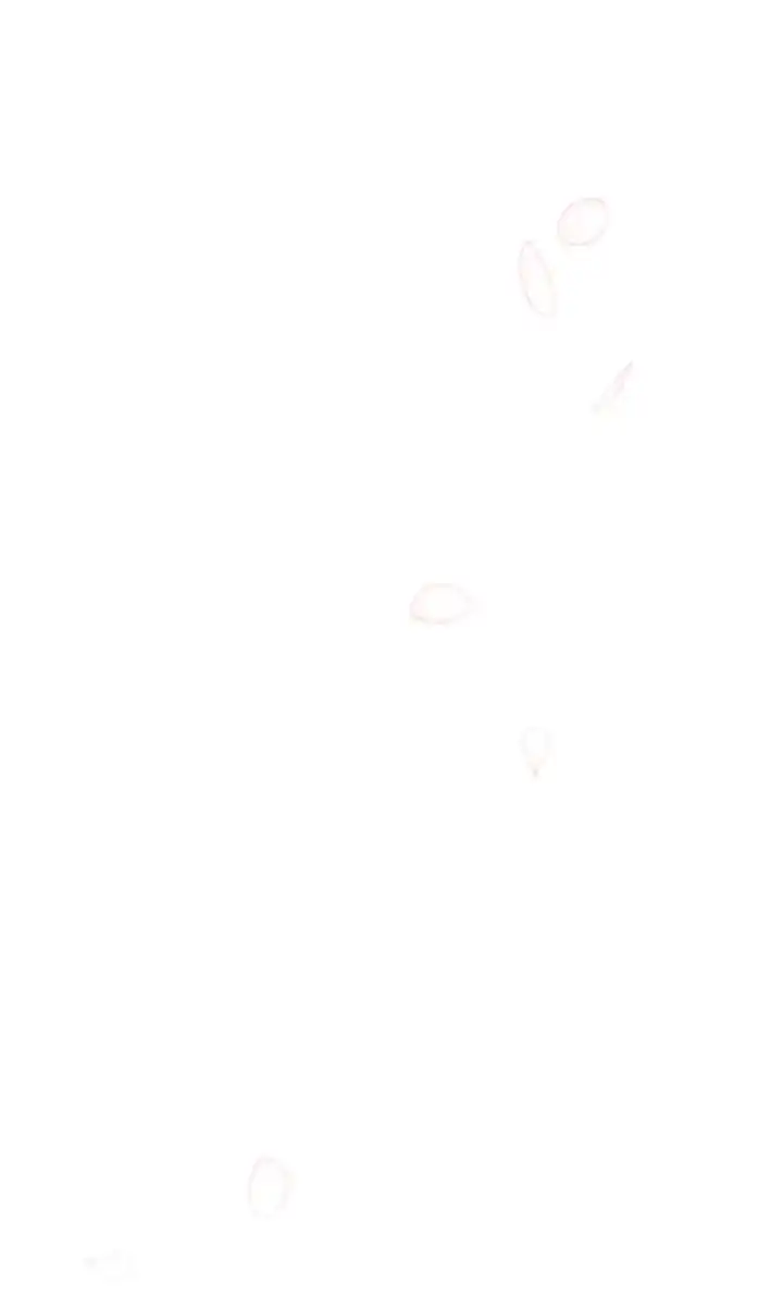 Image page 67