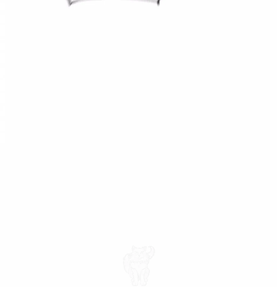 Image page 42