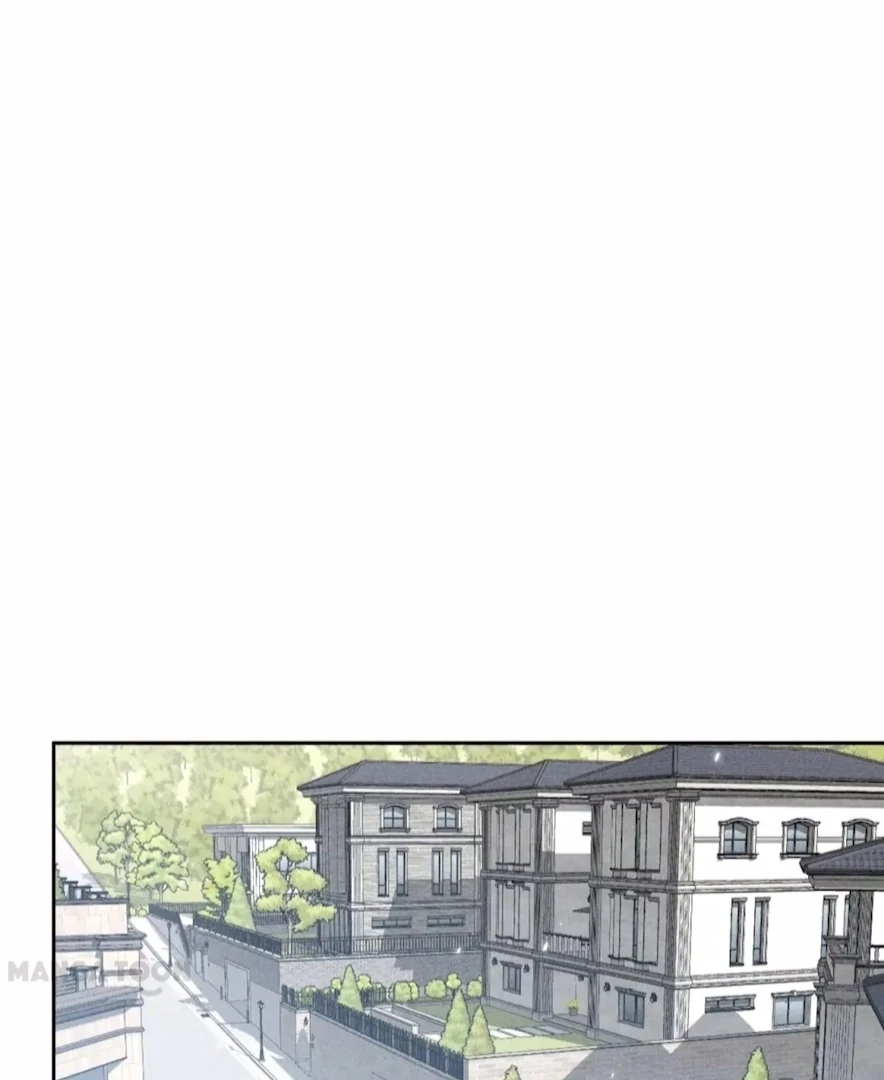 Image page 6