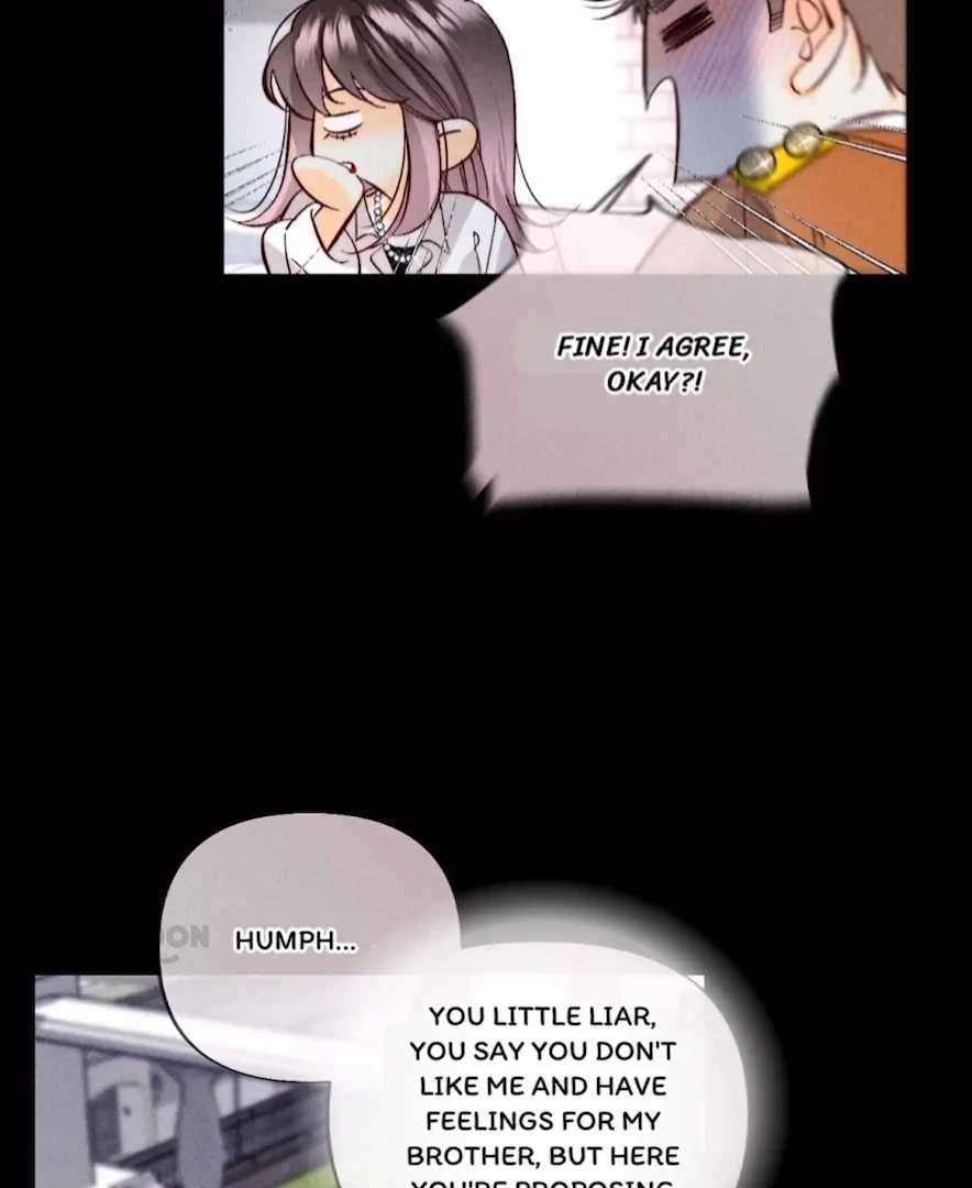 Image page 12