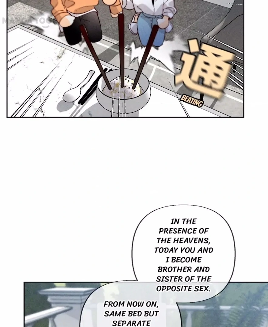 Image page 19