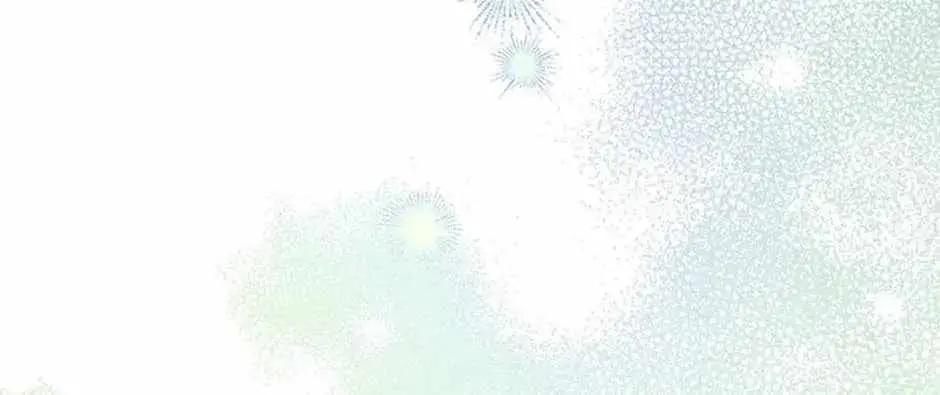 Image page 133