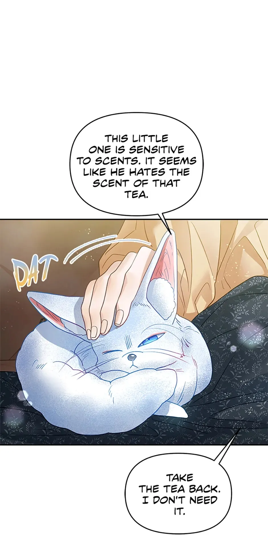 Image page 29