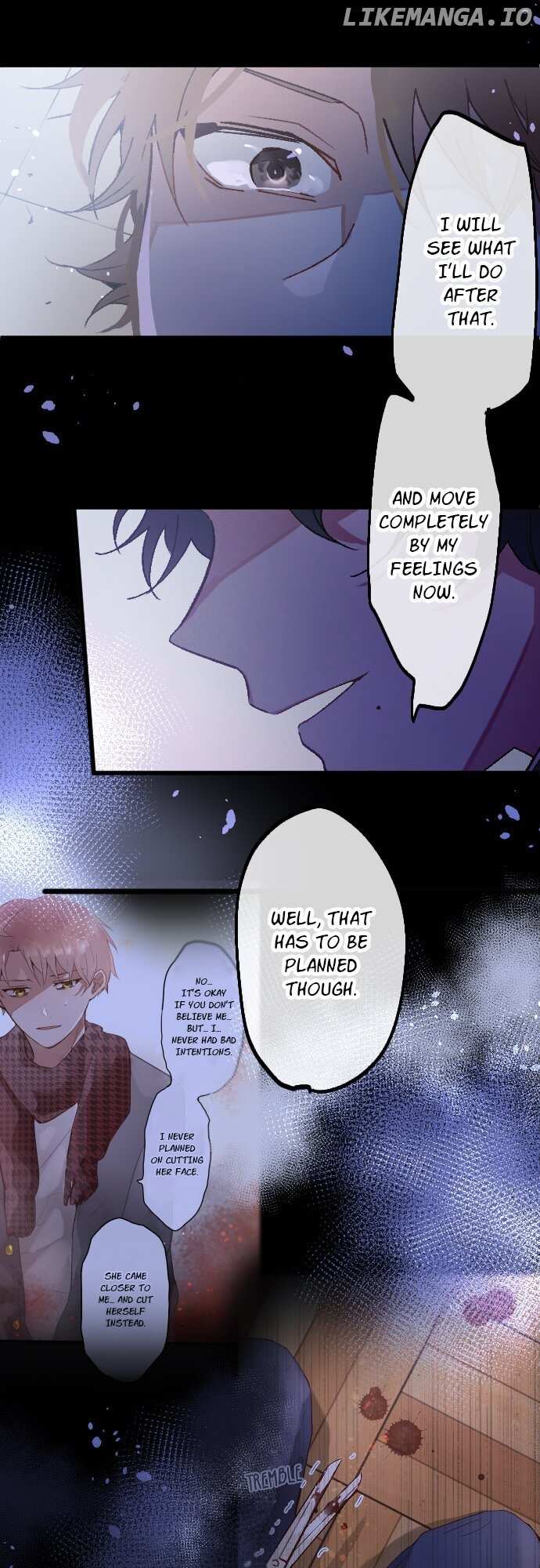 Image page 13