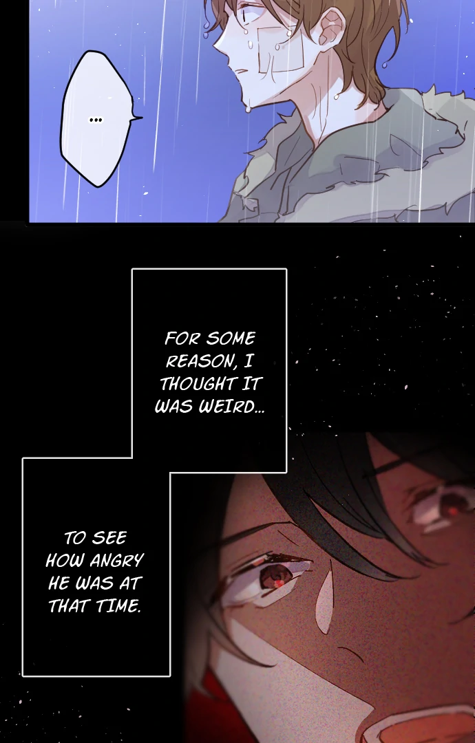 Image page 23
