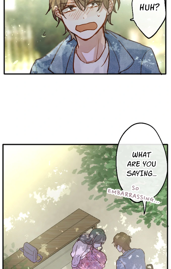 Image page 20