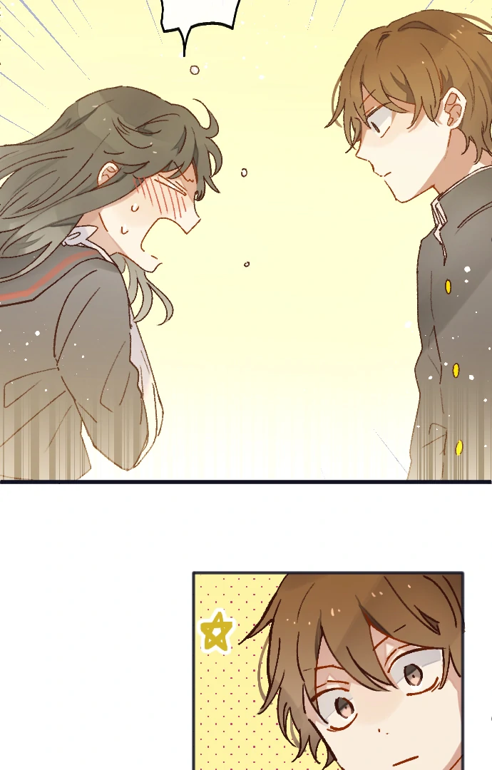 Image page 12
