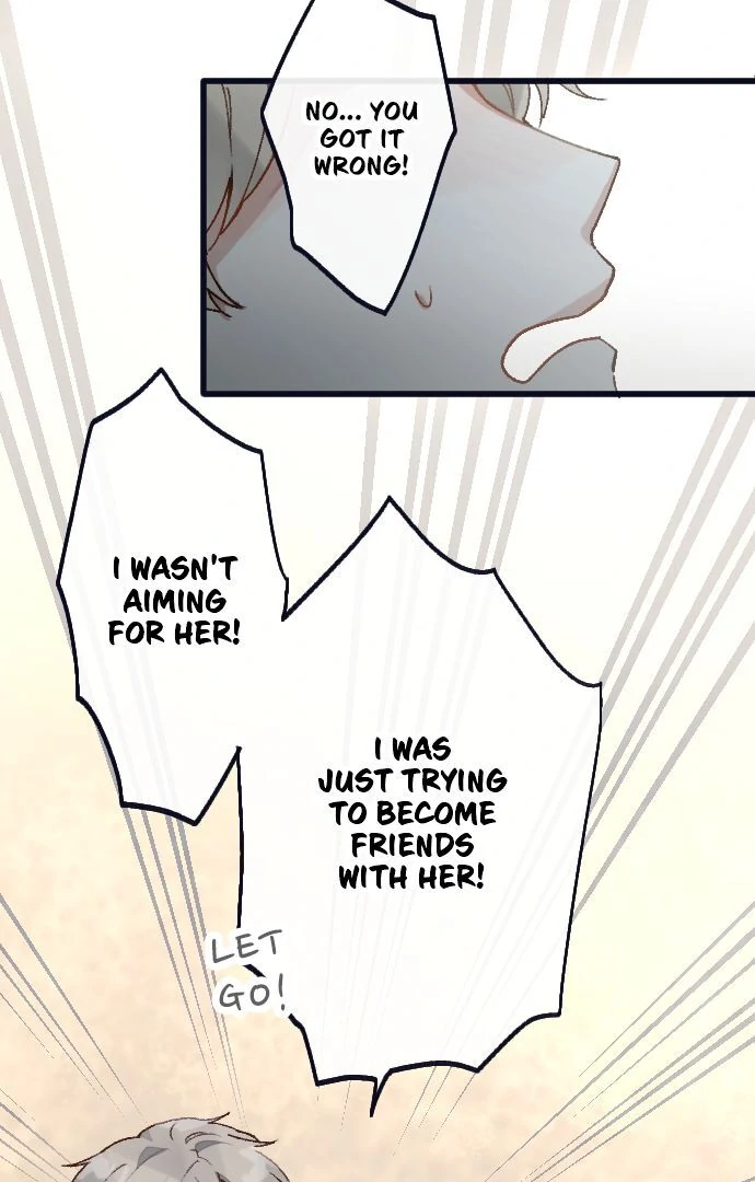 Image page 14