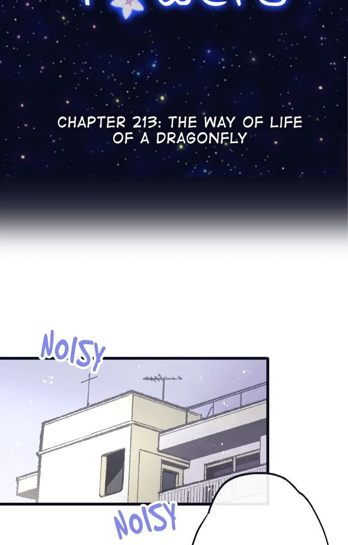 Image page 7