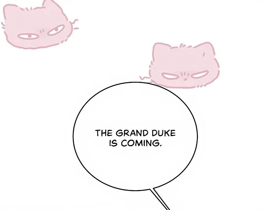 Image page 101