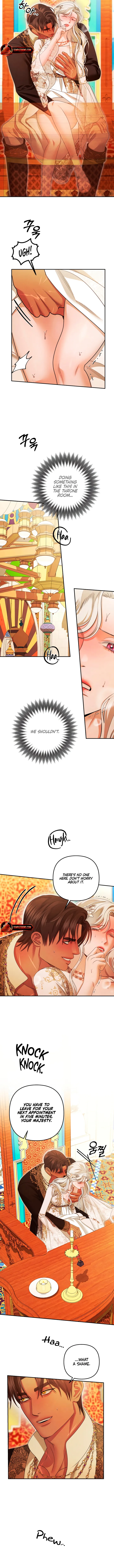 Image page 8