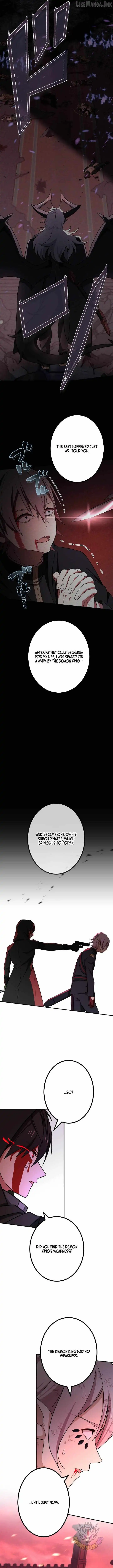 Image page 12