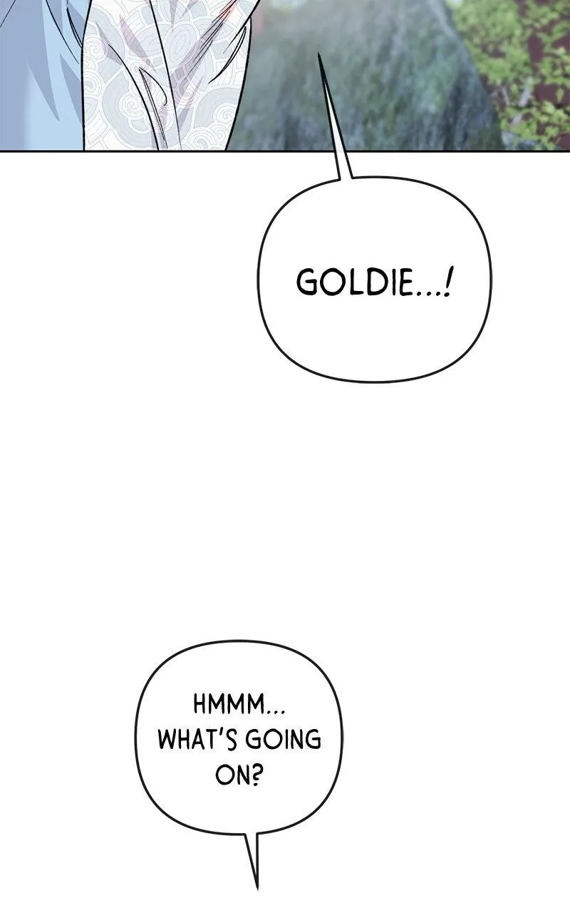 Image page 13