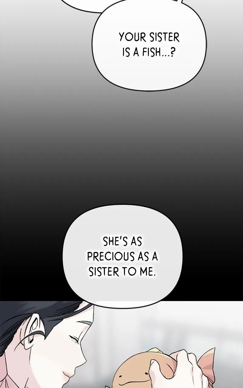 Image page 38