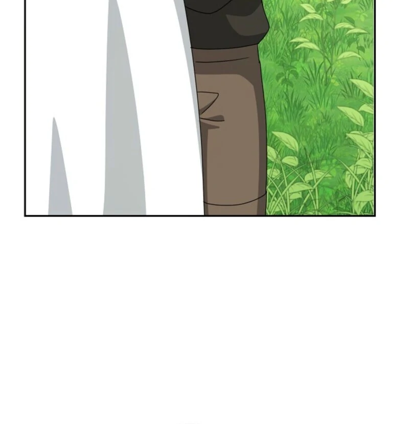 Image page 30