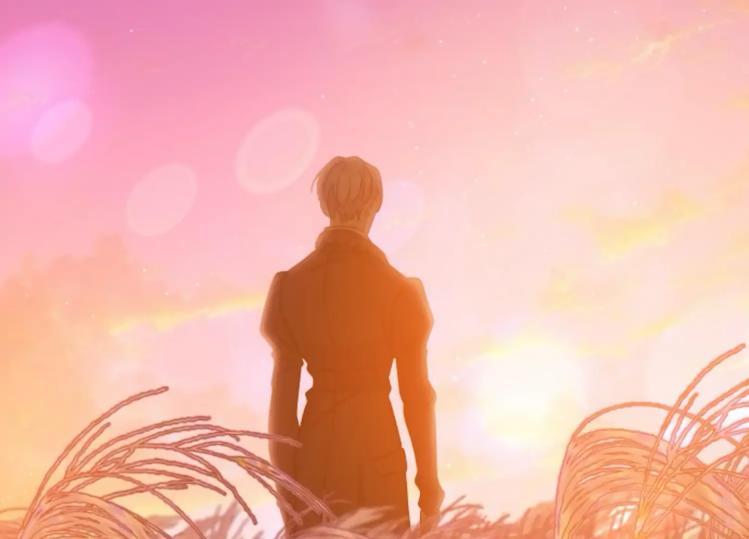 Image page 256