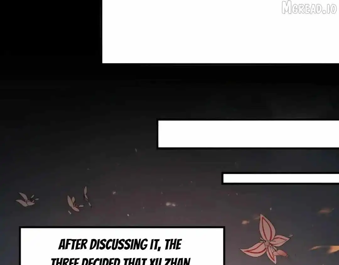 Image page 11