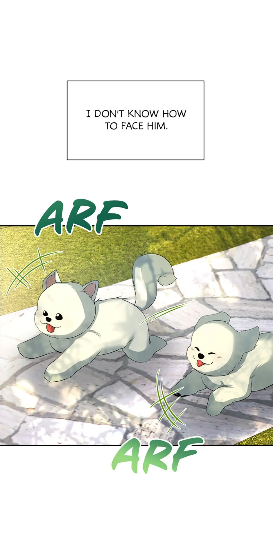 Image page 5