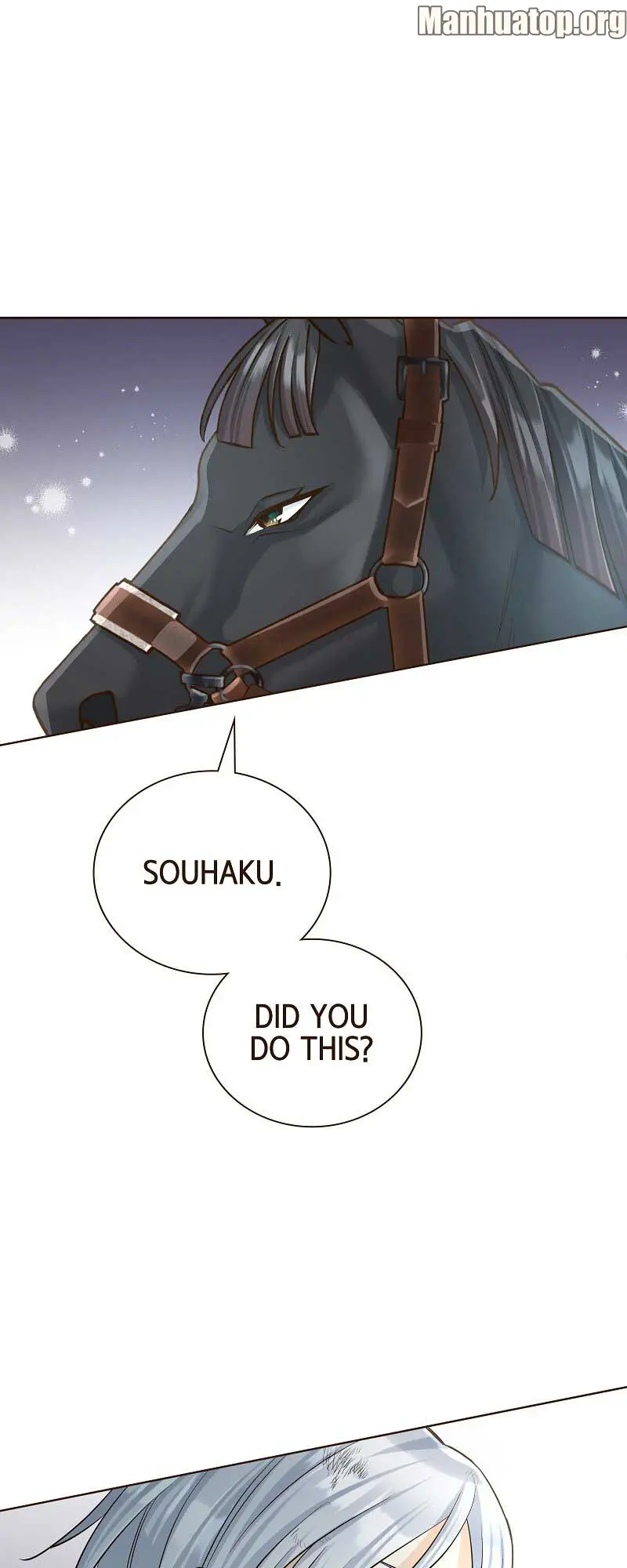 Image page 10