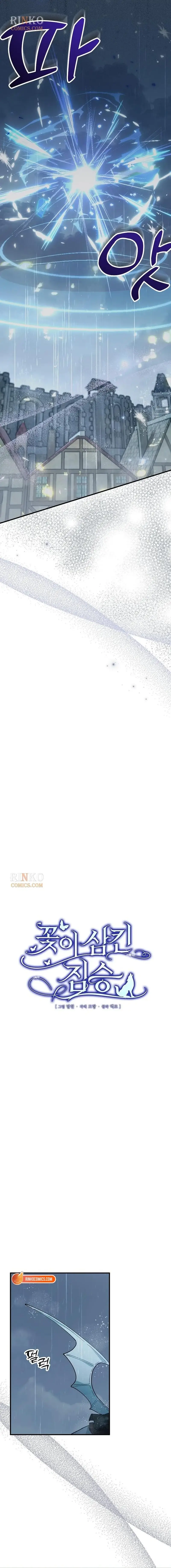 Image page 8