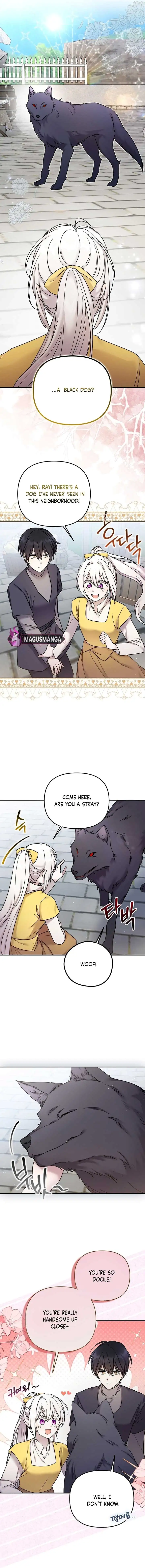 Image page 9