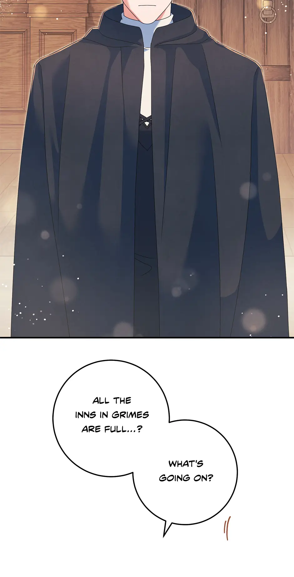 Image page 29