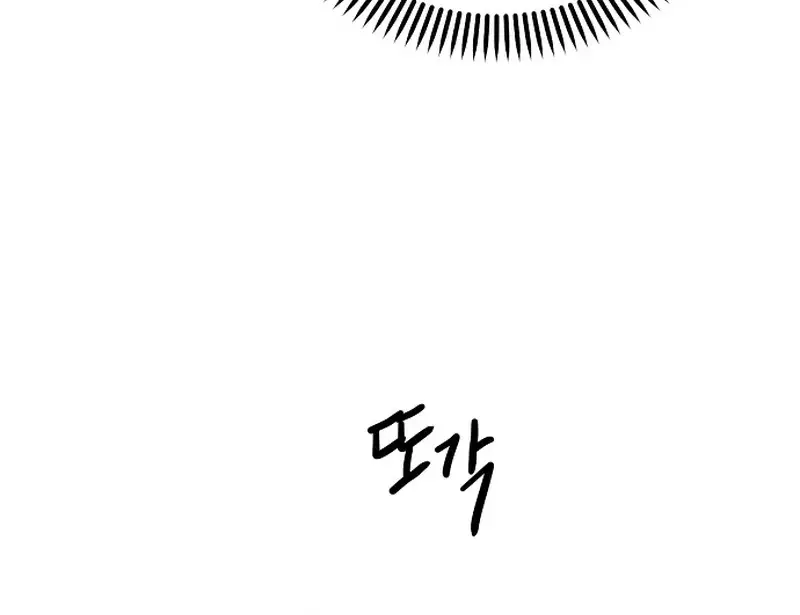 Image page 12