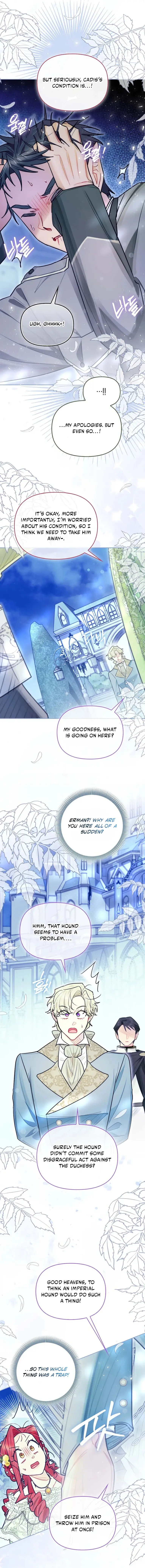 Image page 11