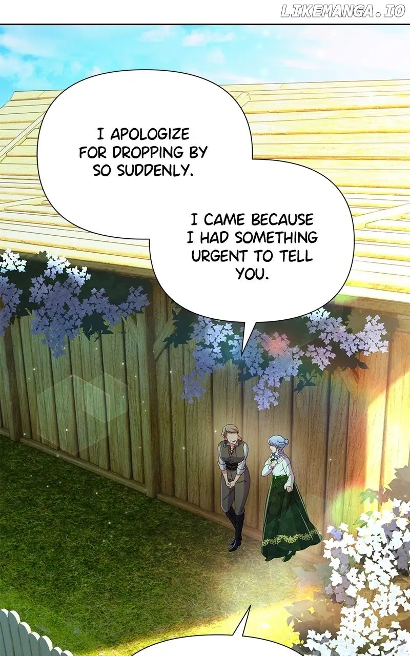 Image page 16