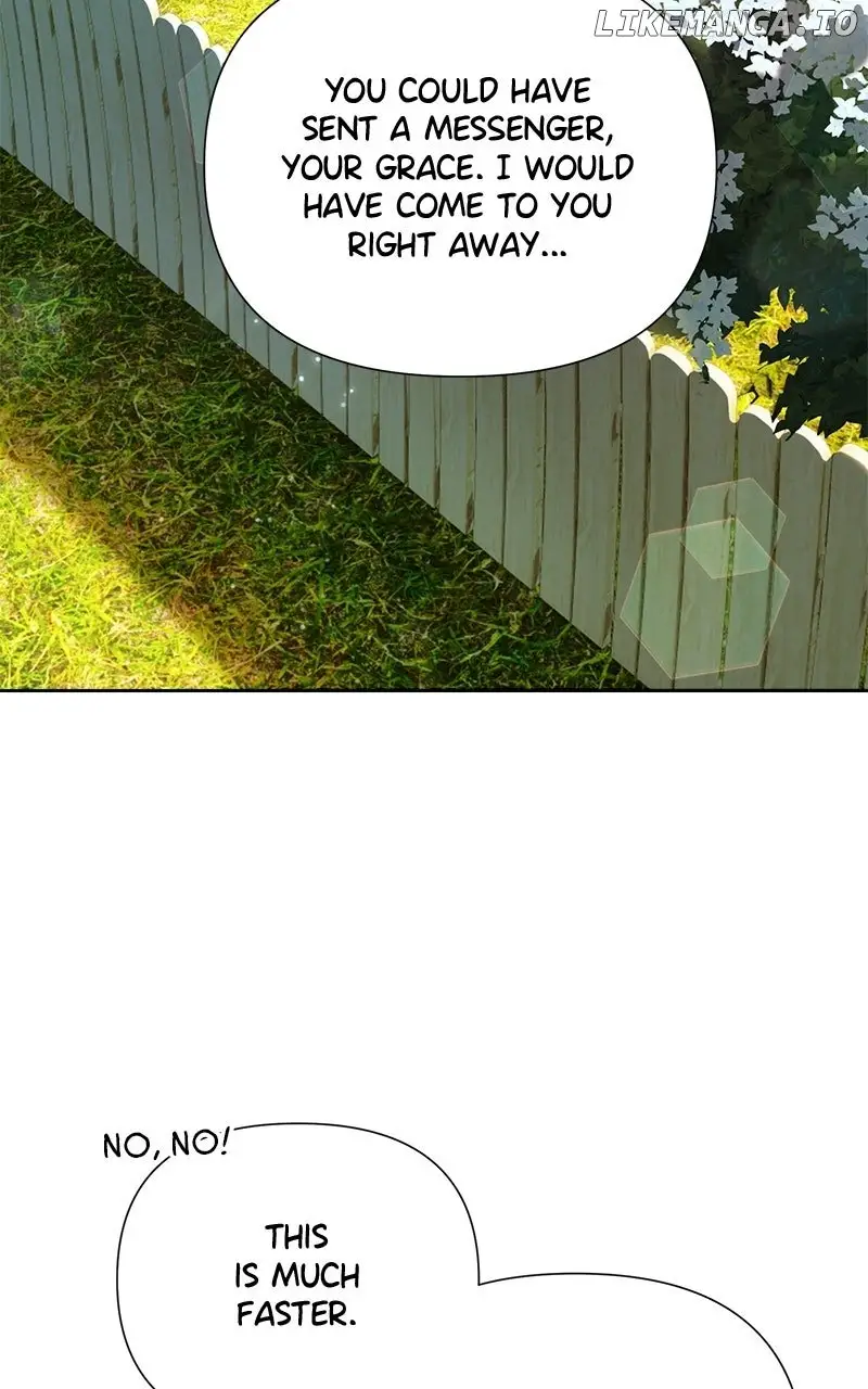 Image page 17
