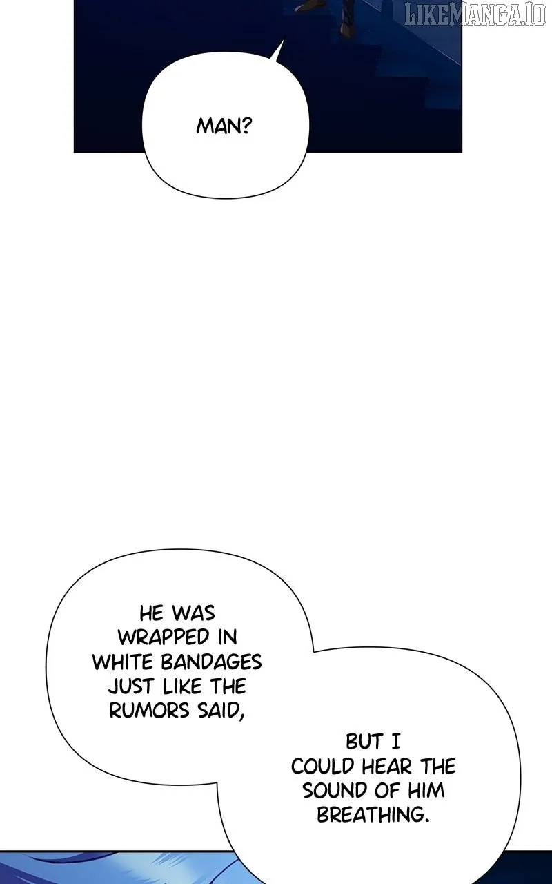 Image page 42