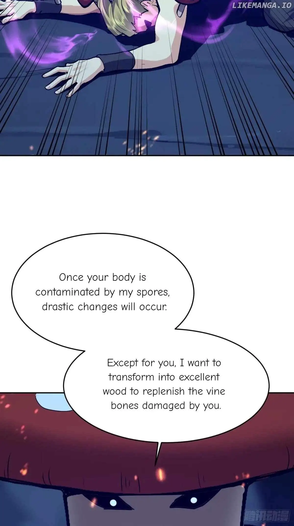 Image page 26