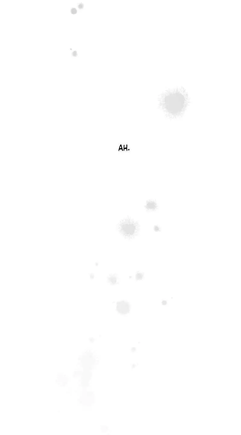 Image page 37