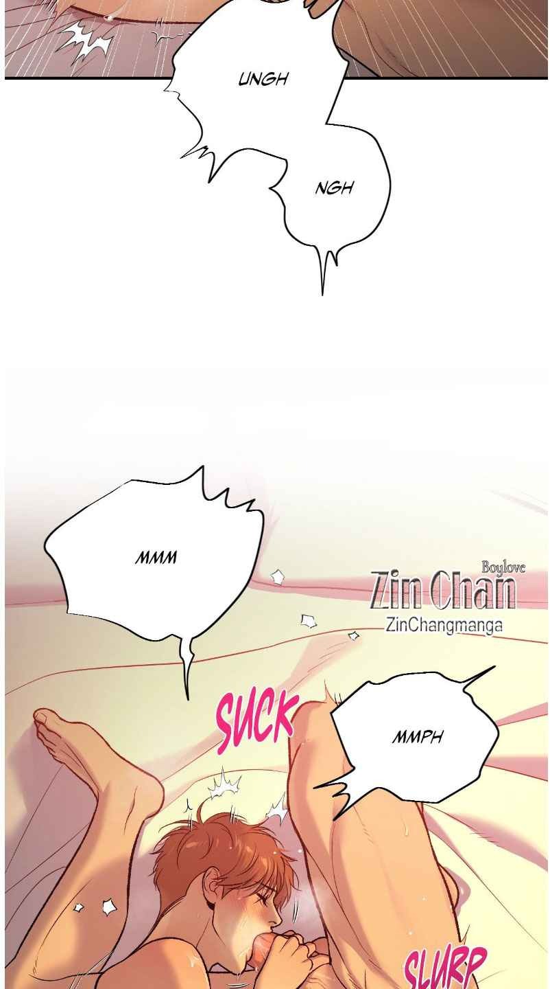 Image page 24