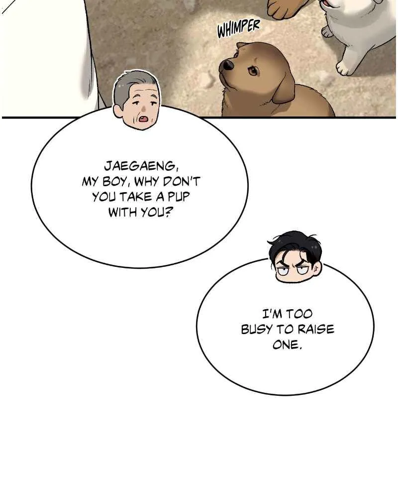 Image page 31