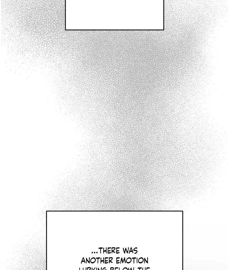 Image page 26