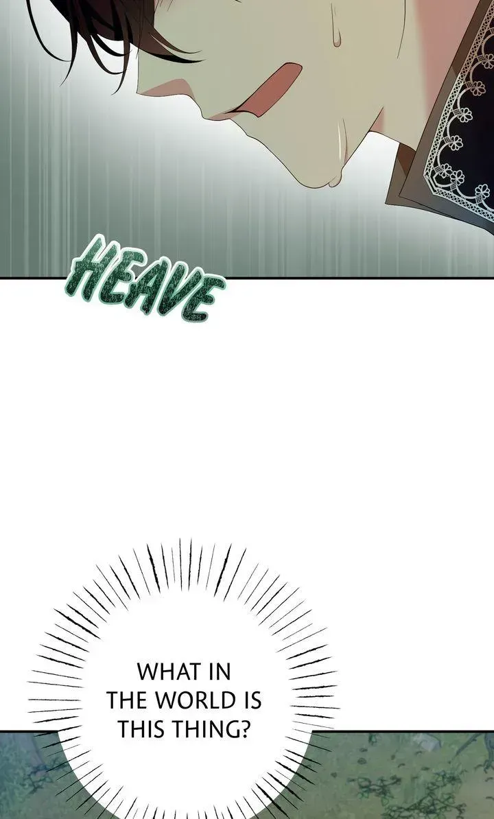 Image page 32