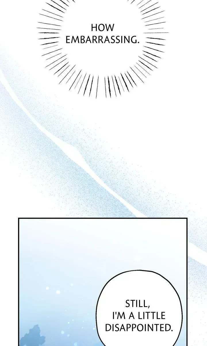 Image page 41