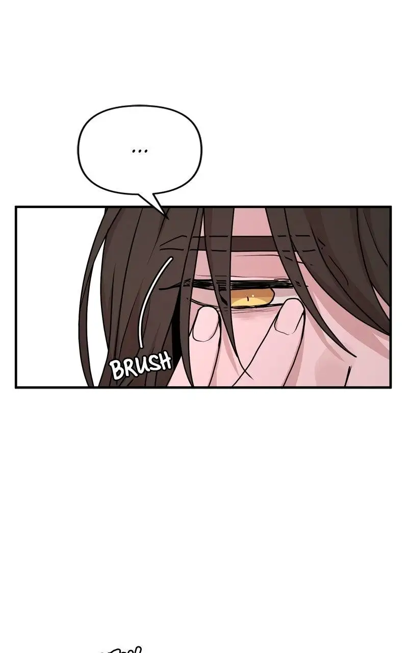 Image page 10