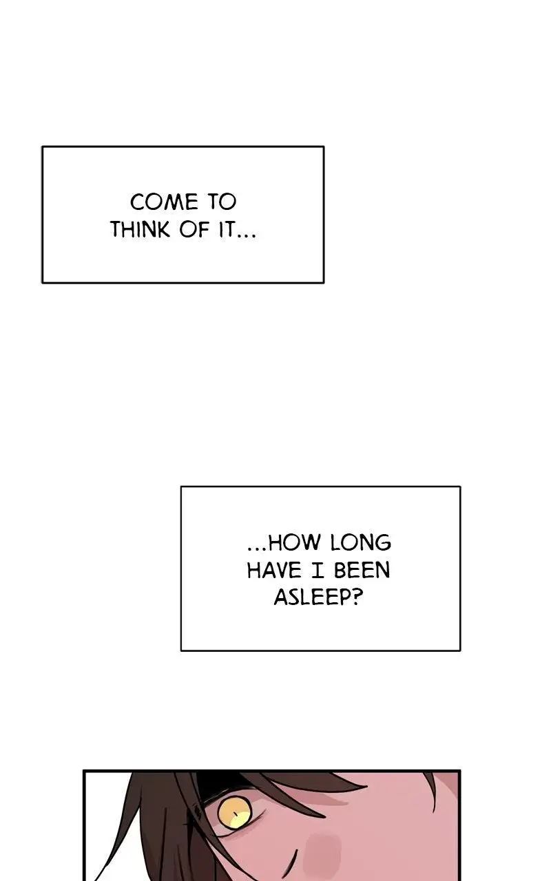 Image page 20