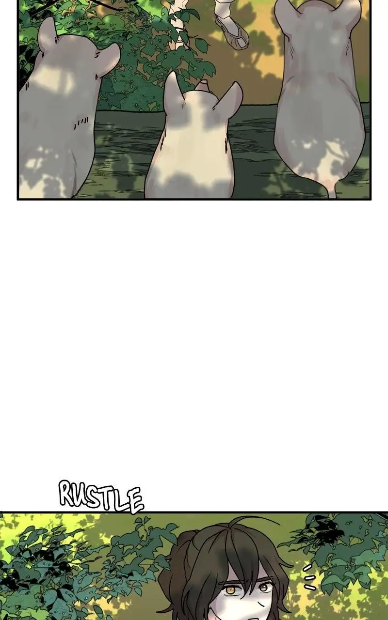 Image page 61
