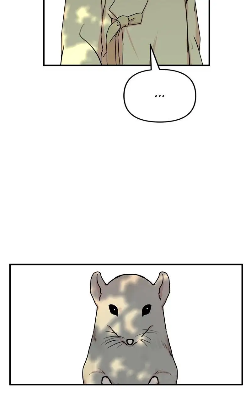 Image page 64