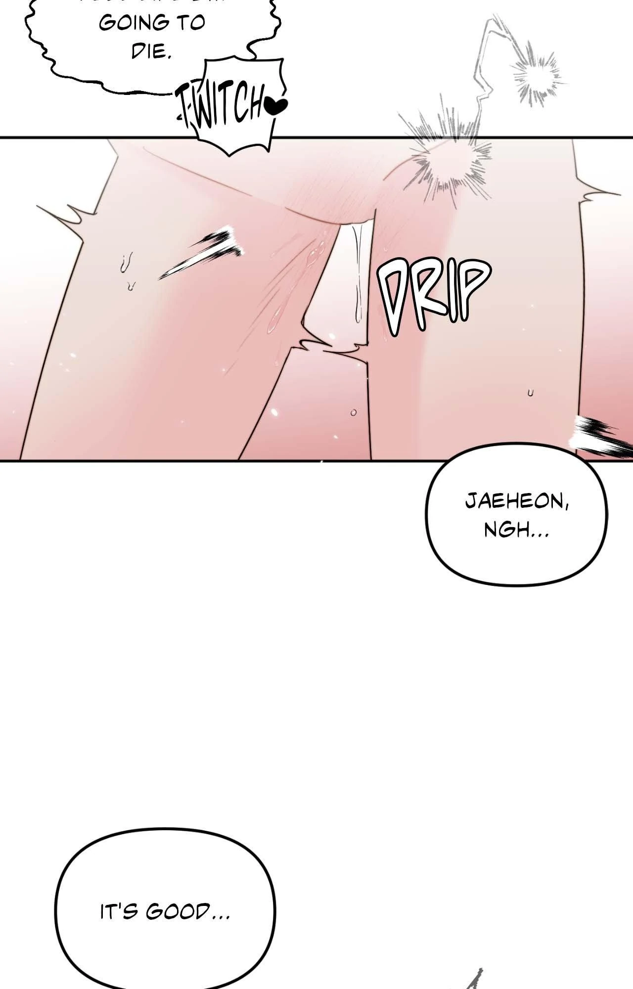 Image page 19